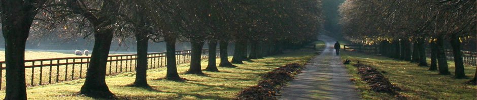 einfach-nur-weg